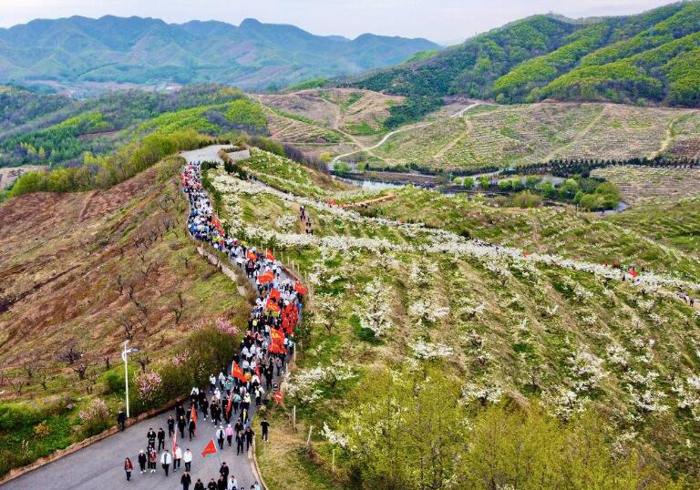 中國·鳳城大梨樹第六屆徒步節暨葡萄文化節精彩紛呈